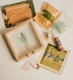 Aloe You Vera Much Diy Moss Wall Art Kit, Mossy Tree -Gift Promotion Store mk021833alt view2c