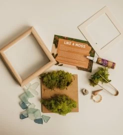 Aloe You Vera Much Diy Moss Wall Art Kit, Mossy Tree -Gift Promotion Store mk021833alt view3c