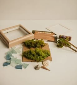 Aloe You Vera Much Diy Moss Wall Art Kit, Mossy Tree -Gift Promotion Store mk021833alt viewc