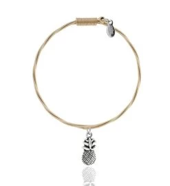 Pineapple - "Kokomo" -Gift Promotion Store mk0276x 2