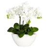 Nearly Natural Artificial Phalaenopsis Arrangement -Gift Promotion Store mk033149x
