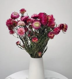 Dried Flower Bouquet - The Daisy