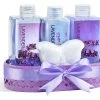 Lavender Essential Oil Butterfly Gift Set