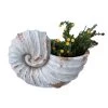 Cream Polyresin Seashell Planter -Gift Promotion Store mkq016443x