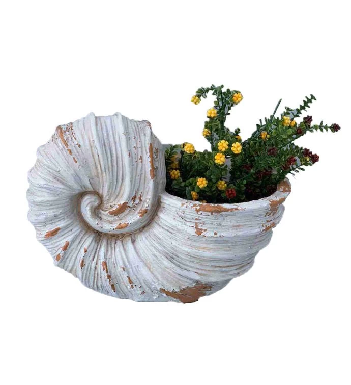 Cream Polyresin Seashell Planter 5 Cream Polyresin Seashell Planter - Image 3