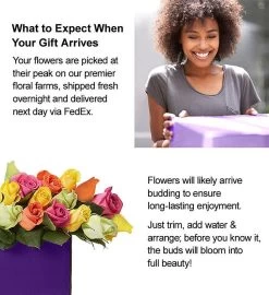 Happy Birthday Assorted Roses, 12-24 Stems 40 Happy Birthday Assorted Roses, 12-24 Stems -Gift Promotion Store multi roses alt viewc