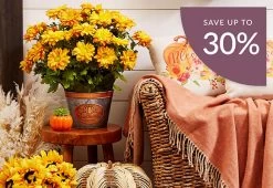 Crochet Bunny Egg Toy -Gift Promotion Store plant sale save 30p fall global nav banner 580x400 11