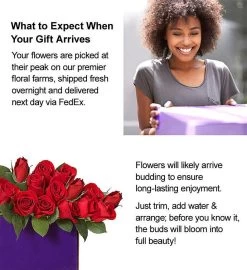 Two Dozen Red Roses In Luxury Posh™ Vase -Gift Promotion Store red roses alt viewc