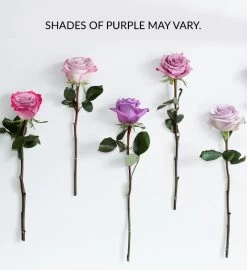 Passion For Purple Roses -Gift Promotion Store shades of purple altviewc