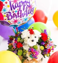 Another Year Rover™ Birthday Bouquet -Gift Promotion Store supplied alt img 4339 dogable 004c