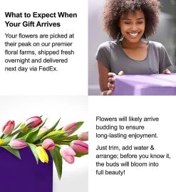 Assorted Fall Tulips 11 Assorted Fall Tulips -Gift Promotion Store tulip alt viewc